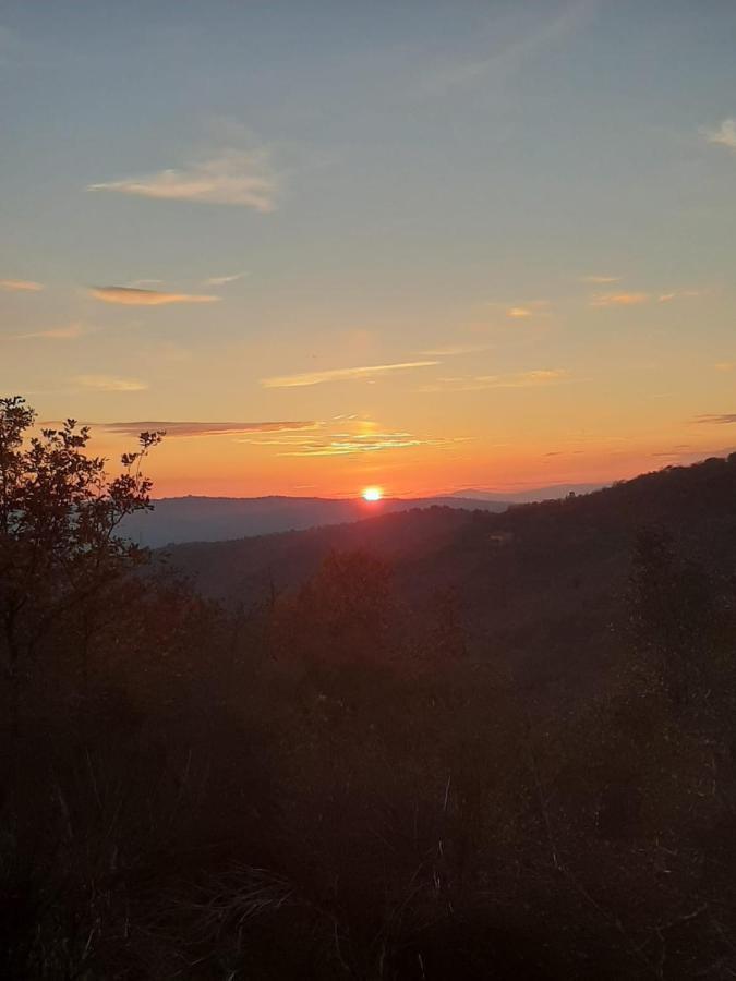 Sunset Valley - A Tuscan Experience Apartment *