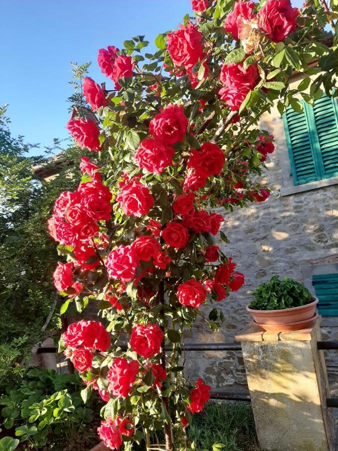 Sunset Valley - A Tuscan Experience Apartment