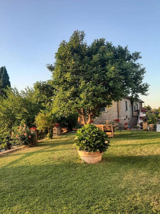 Sunset Valley - A Tuscan Experience Apartment