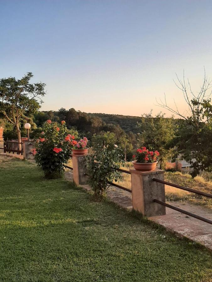Sunset Valley - A Tuscan Experience
