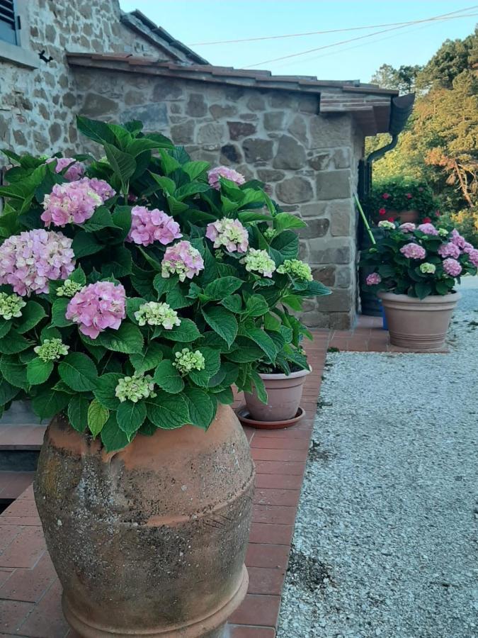 Sunset Valley - A Tuscan Experience *