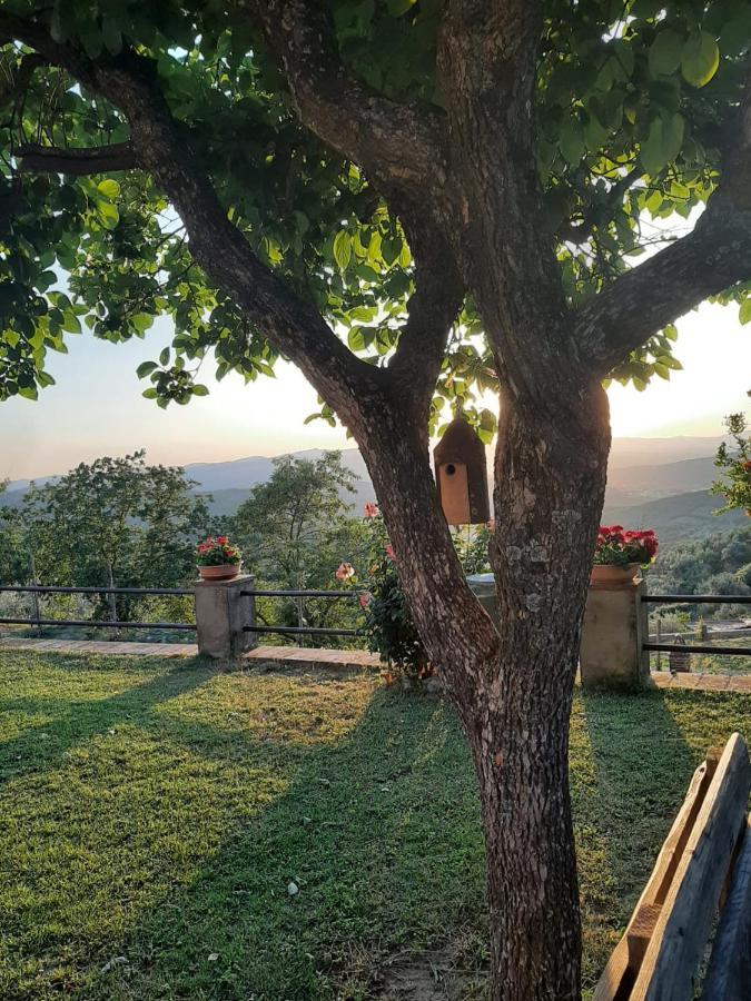 Sunset Valley - A Tuscan Experience * Civitella in Val di Chiana